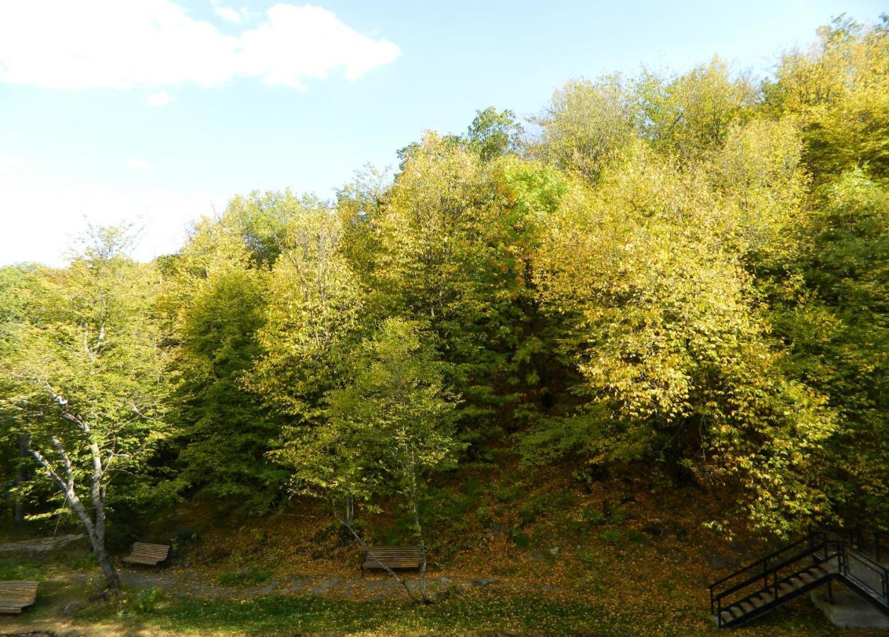 Tsaghkahovit Hotel Tsaghkadzor Exterior foto